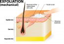 Exfoliating 4 major pitfalls zoning conduct easily upset skin is not bothered